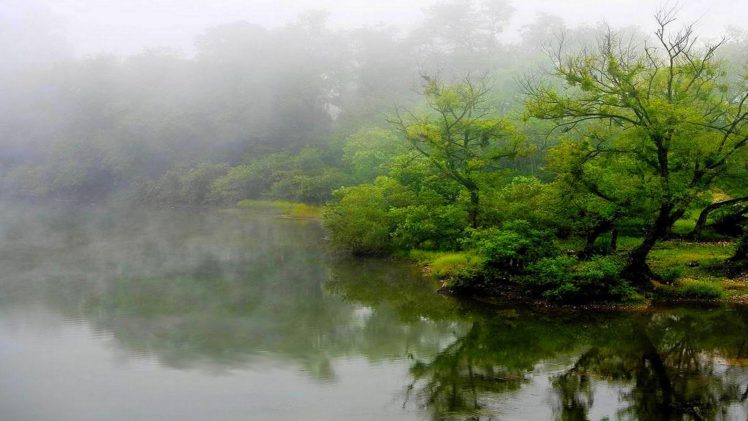 lakes, Pond, Trees, Fog HD Wallpaper Desktop Background