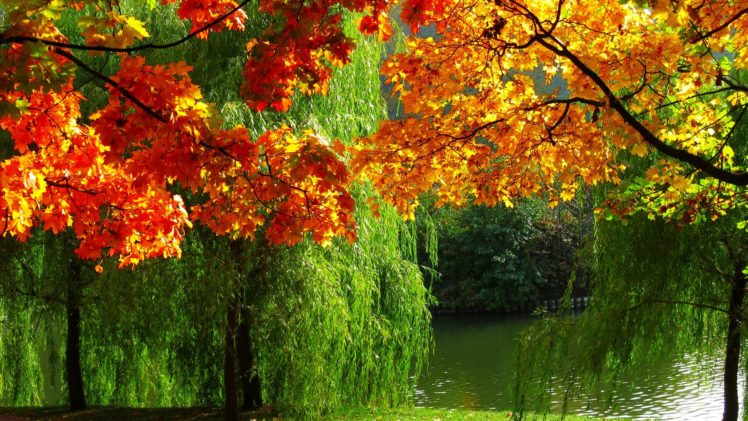 autumn, River, Trees, Foliage, Leaves HD Wallpaper Desktop Background