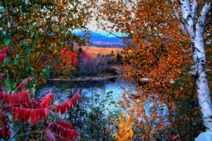 fall, Autumn, Trees, Lake, Leaves, Foliage