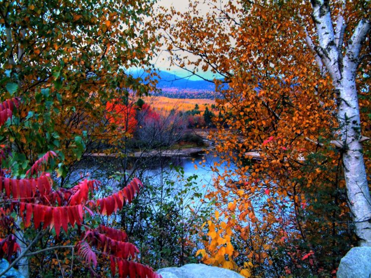 fall, Autumn, Trees, Lake, Leaves, Foliage HD Wallpaper Desktop Background