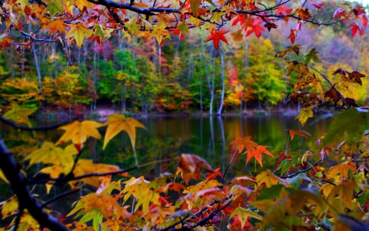 Fall Autumn Leaves Lake Foliage Wallpapers Hd Desktop And Mobile