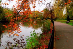 path, Fall, Autumn, River, Leaves, Trees, Foliage