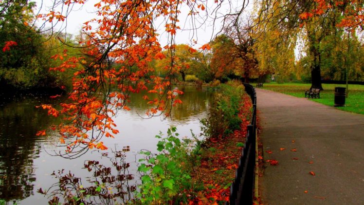 path, Fall, Autumn, River, Leaves, Trees, Foliage HD Wallpaper Desktop Background