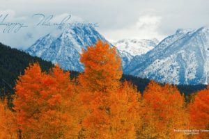 autumn, Trees, Foliage, Leaves, Mountains