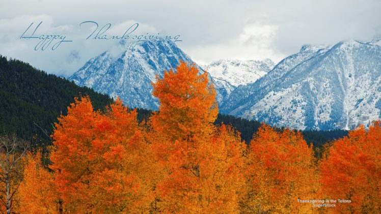 autumn, Trees, Foliage, Leaves, Mountains HD Wallpaper Desktop Background