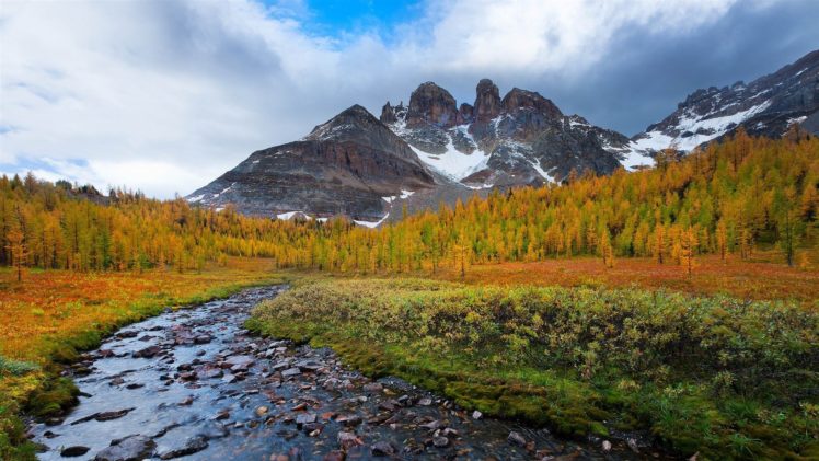 mountains, River, Trees, Grass HD Wallpaper Desktop Background