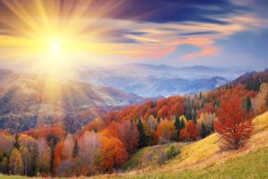 autumn, Sunlight, Hills, Trees, Foliage, Mountains