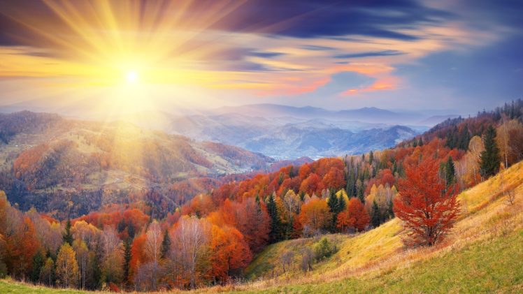 autumn, Sunlight, Hills, Trees, Foliage, Mountains HD Wallpaper Desktop Background