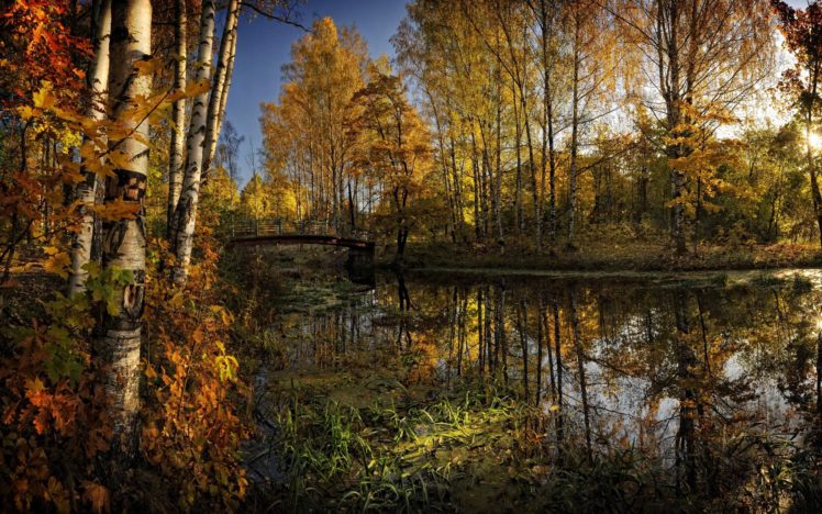 lake, River, Trees, Leaves, Foliage HD Wallpaper Desktop Background