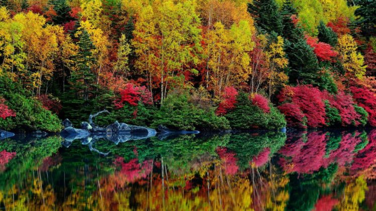 autumn, River, Reflection, Leaves, Trees, Foliage, Purple, Colorful HD Wallpaper Desktop Background