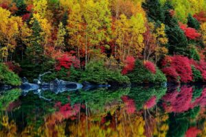 autumn, River, Reflection, Leaves, Trees, Foliage, Purple, Colorful
