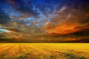 colorful, Sky, Field, Yellow