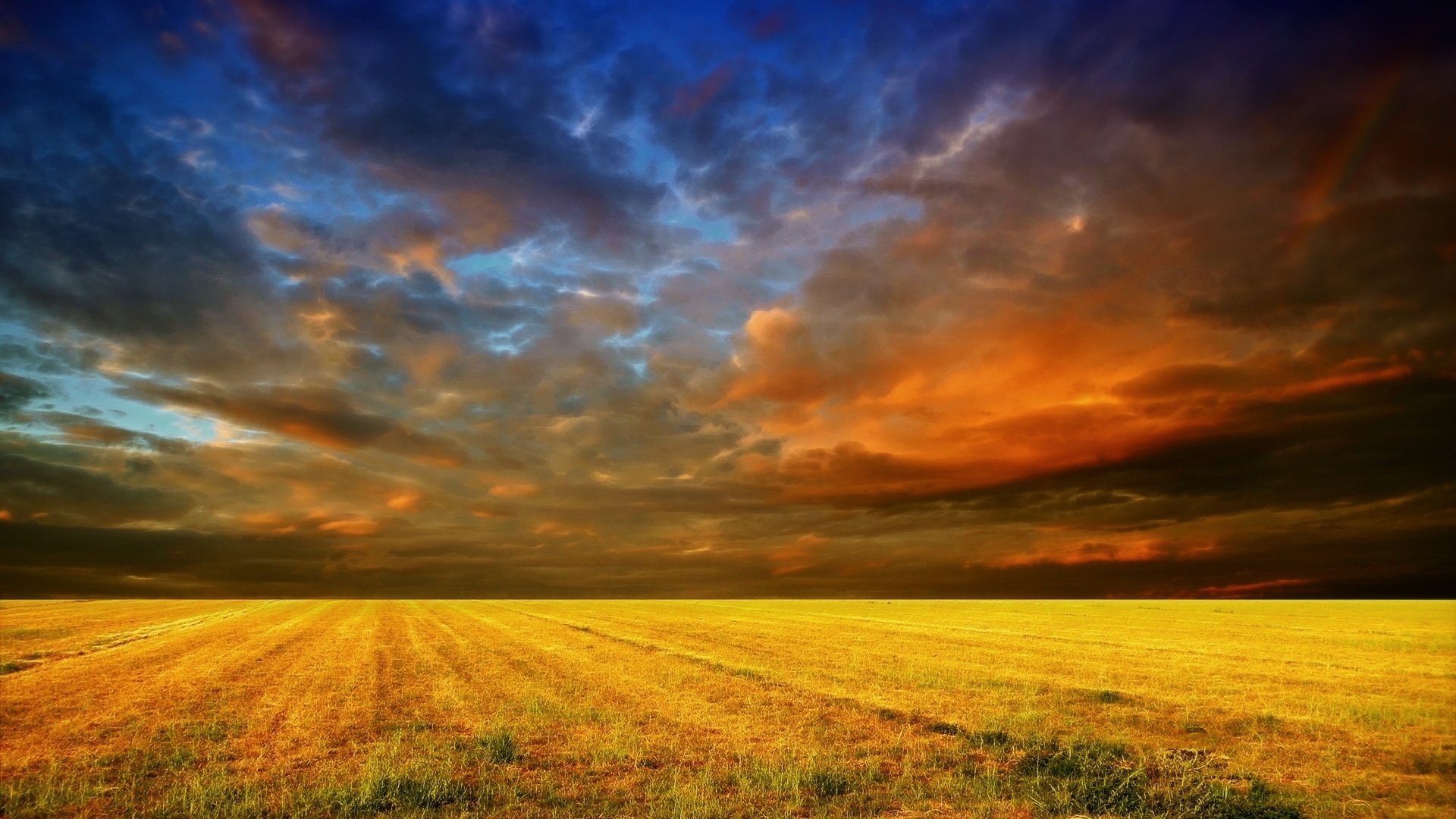 colorful, Sky, Field, Yellow Wallpaper