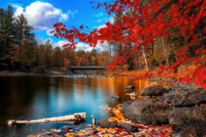 autumn, Foliage, Lake, Rocks, Trees, Leaves