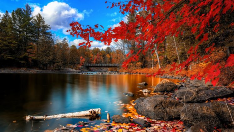 autumn, Foliage, Lake, Rocks, Trees, Leaves HD Wallpaper Desktop Background