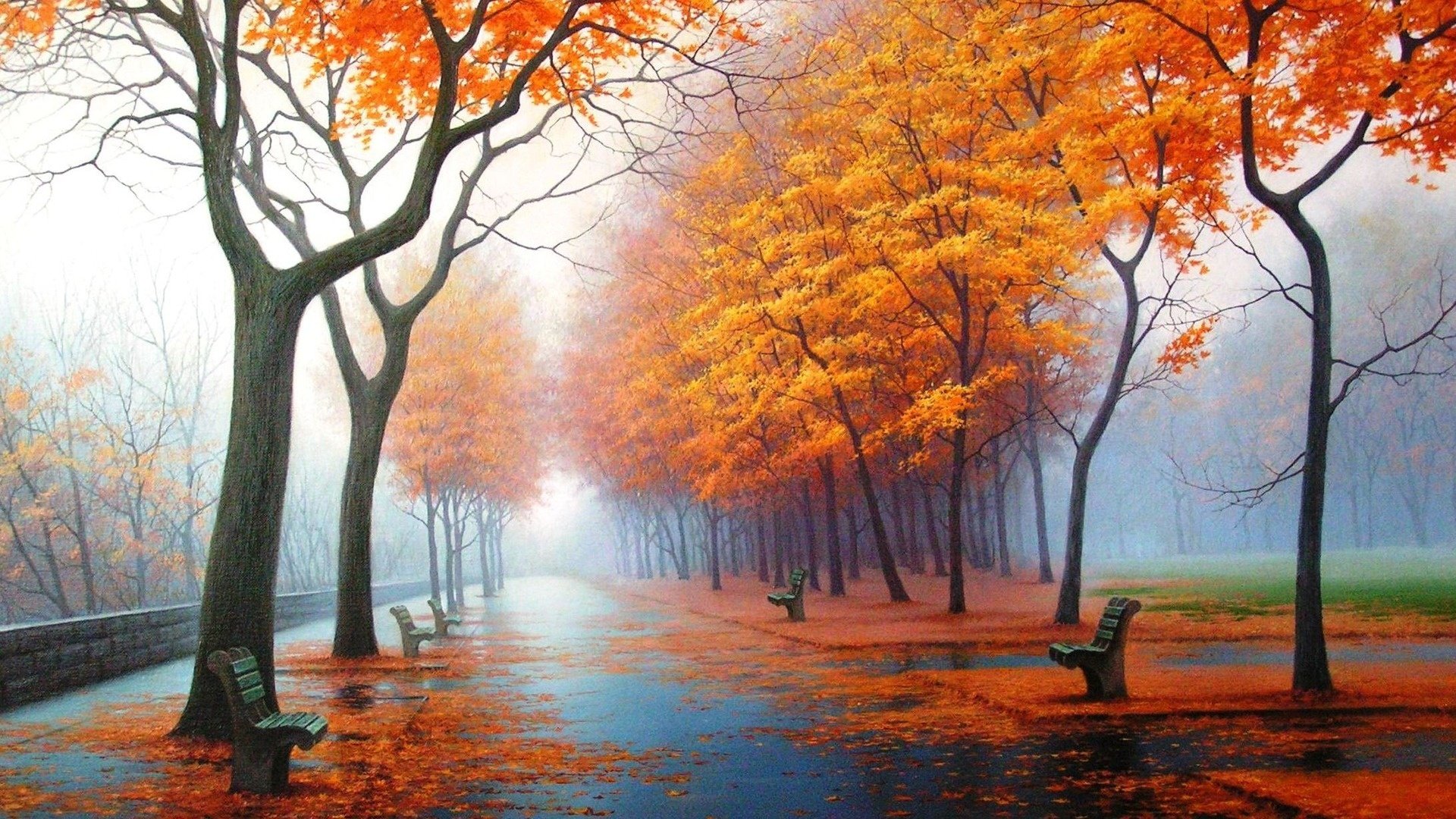 autumn, Fog, Drizzle, Rain, Foliage, Leaves, Trees, Park Wallpaper