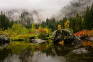river, Pond, Trees, Rocks, Fog