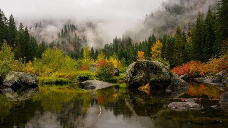 river, Pond, Trees, Rocks, Fog HD Wallpaper Desktop Background