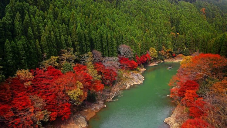 japan, River, Forest, Trees HD Wallpaper Desktop Background