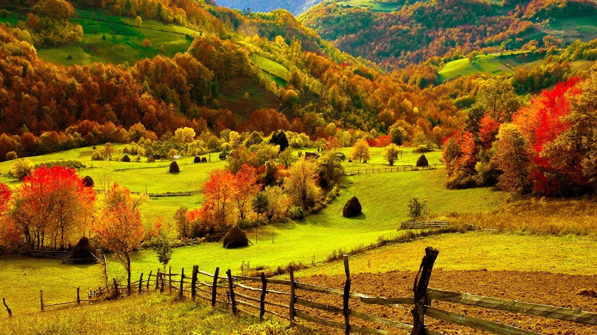 trees, Hills, Leaves, Fence Wallpaper