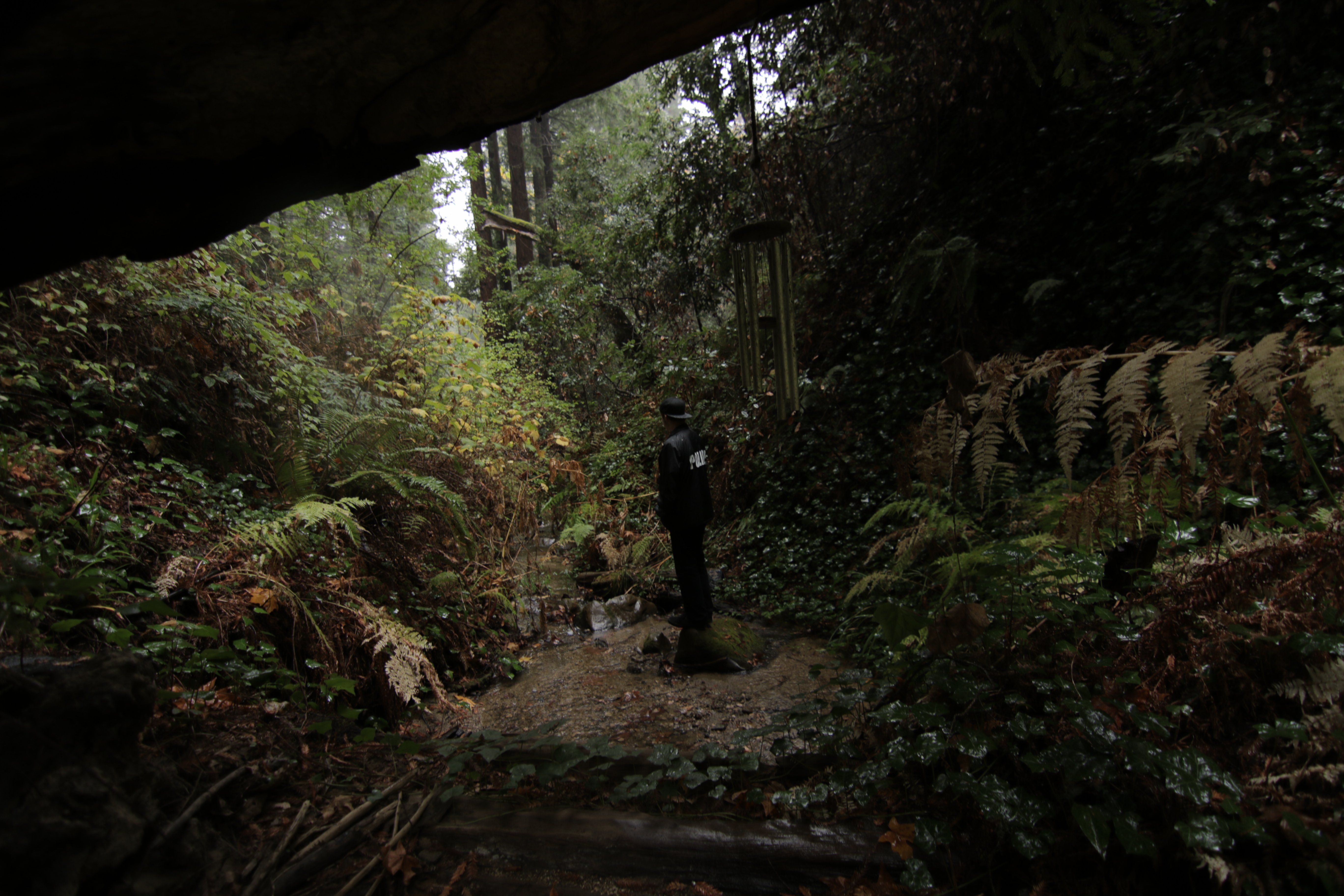 cop, In, Forest Wallpaper