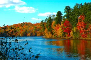 autumn, Trees, Lake, Foliage, Leaves