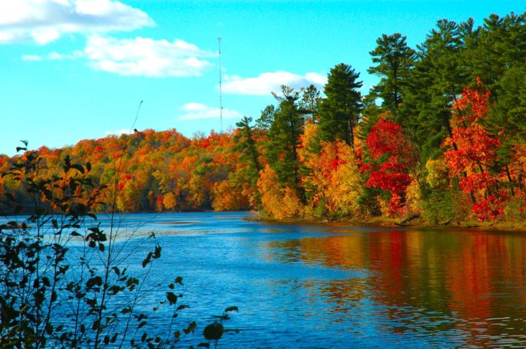 autumn, Trees, Lake, Foliage, Leaves HD Wallpaper Desktop Background