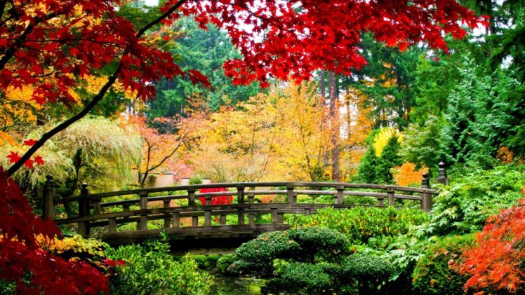 autumn, Fall, Bridge, Trees, China HD Wallpaper Desktop Background