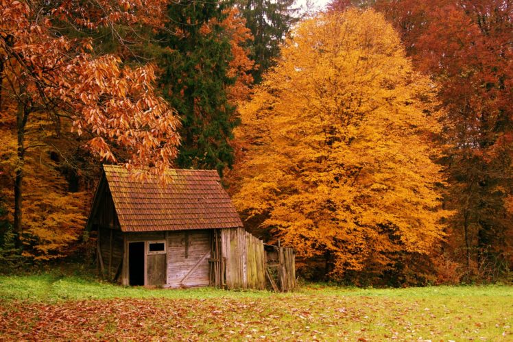 autumn, Fall, Trees, Cottage, Foliage HD Wallpaper Desktop Background
