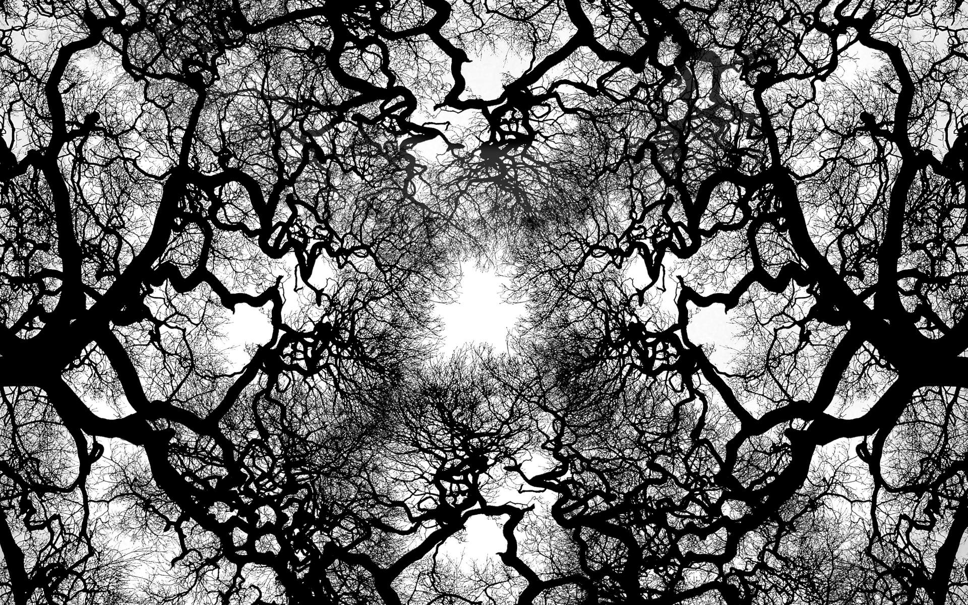 trees Wallpaper