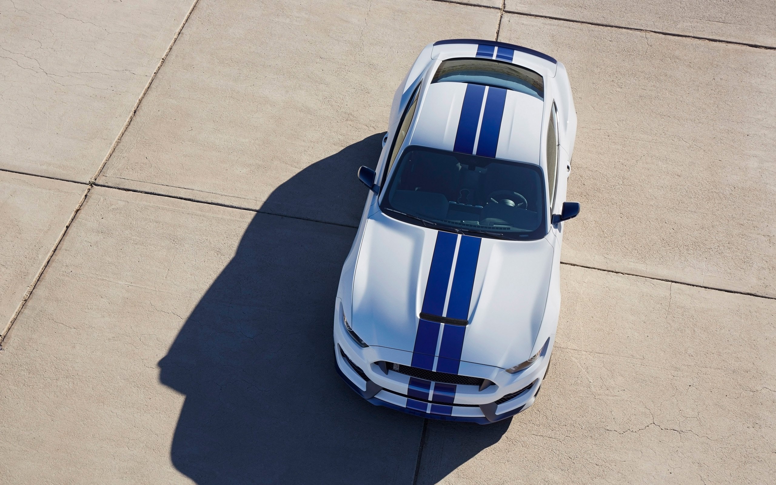 2015, Ford, Shelby, Gt350, Mustang, Muscle Wallpaper