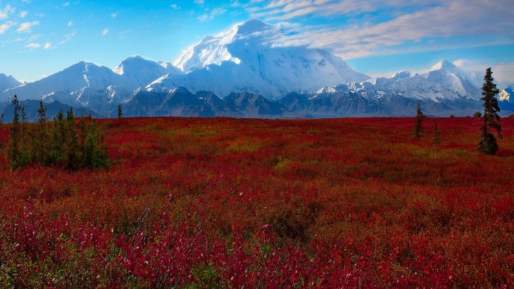 denali, National, Park, Alaska HD Wallpaper Desktop Background