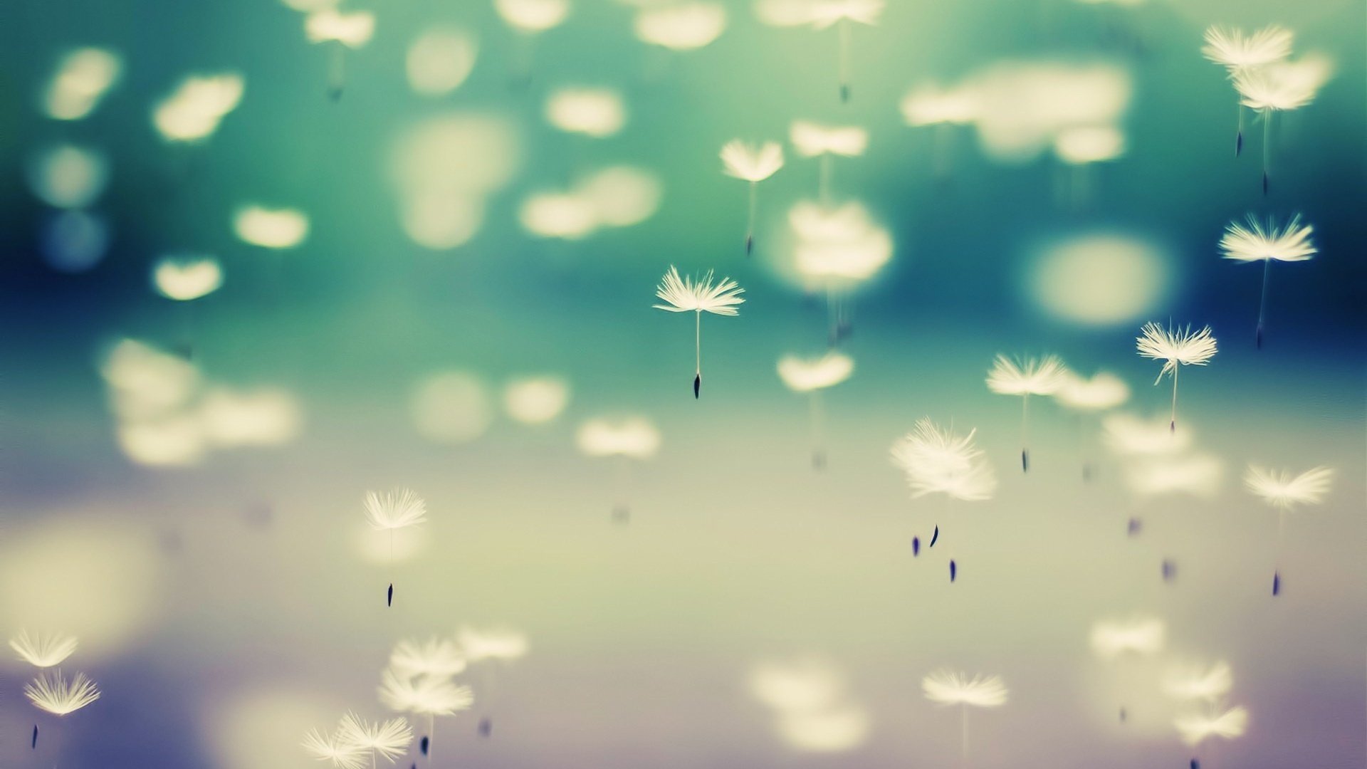 526412 Wallpaper