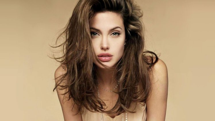 angelina, Jolie, Actress, Woman, Beautiful, Beauty, Model, Brunette HD Wallpaper Desktop Background