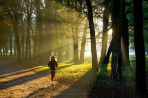 running, Girl, Sunlight, Feel, Mood, Trees, Grass, Forest