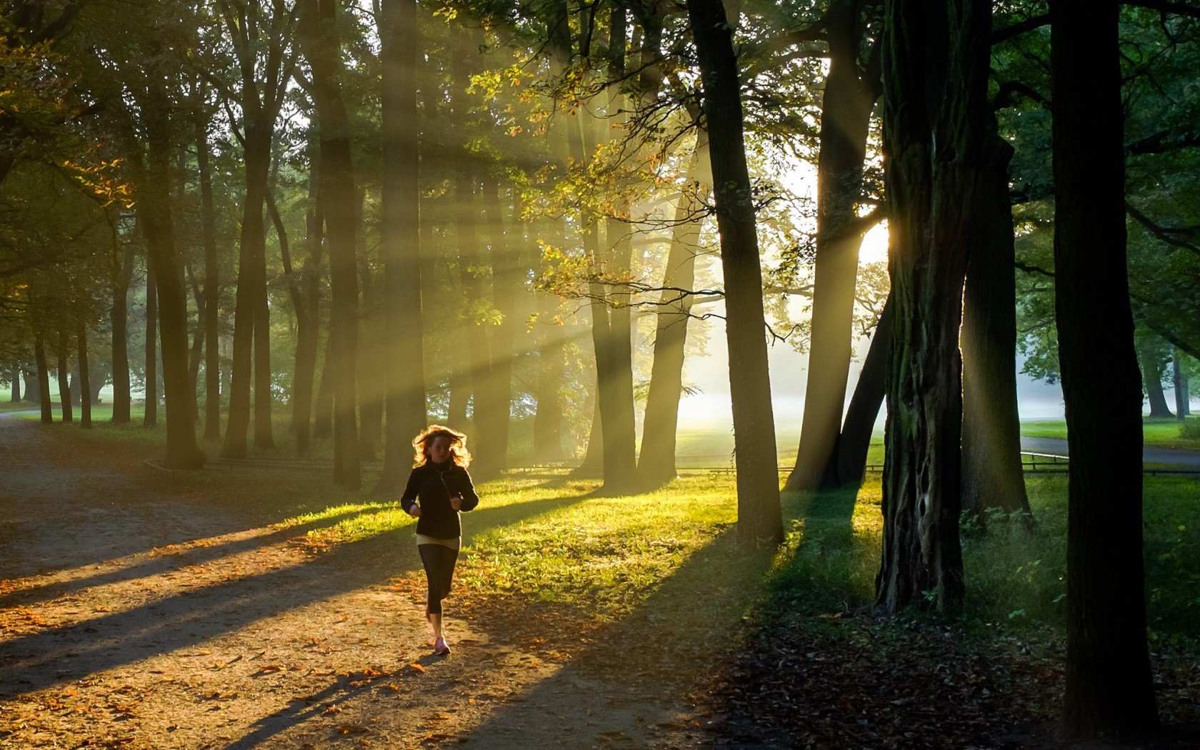 running, Girl, Sunlight, Feel, Mood, Trees, Grass, Forest Wallpaper