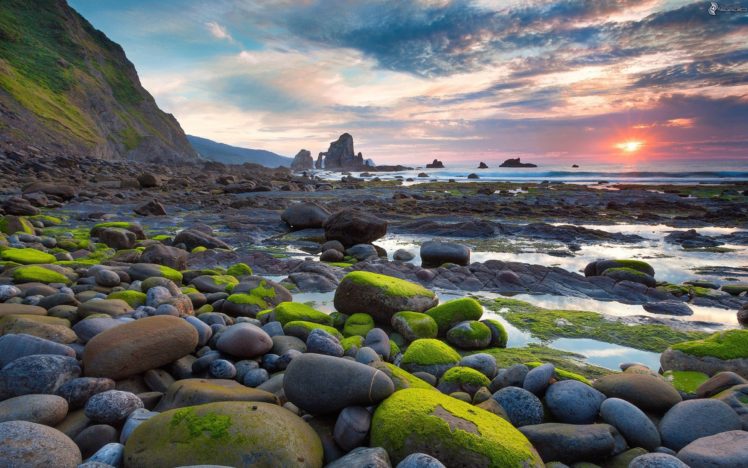ocean, Rocks, Moss, Sunset HD Wallpaper Desktop Background