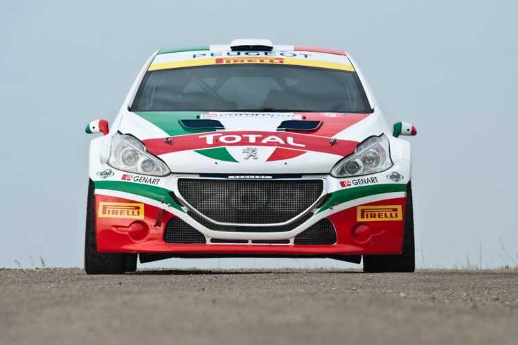 2013, Peugeot, 208, T16, Wtcc, Race, Racing HD Wallpaper Desktop Background