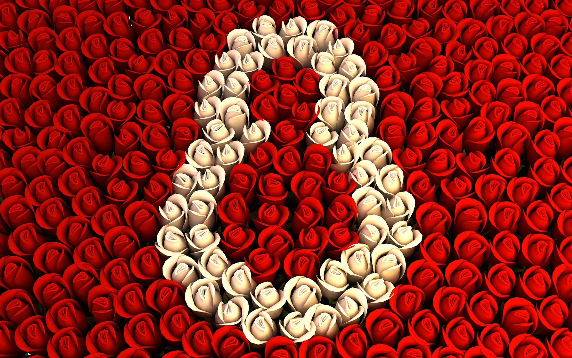 roses Wallpaper