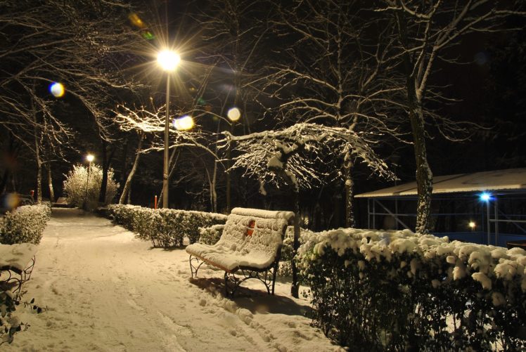 snow, Light, Winter, Trees, Beautiful HD Wallpaper Desktop Background