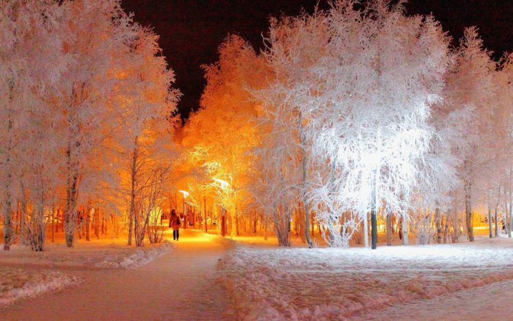 snow, Ice, Trees, Light, Night HD Wallpaper Desktop Background