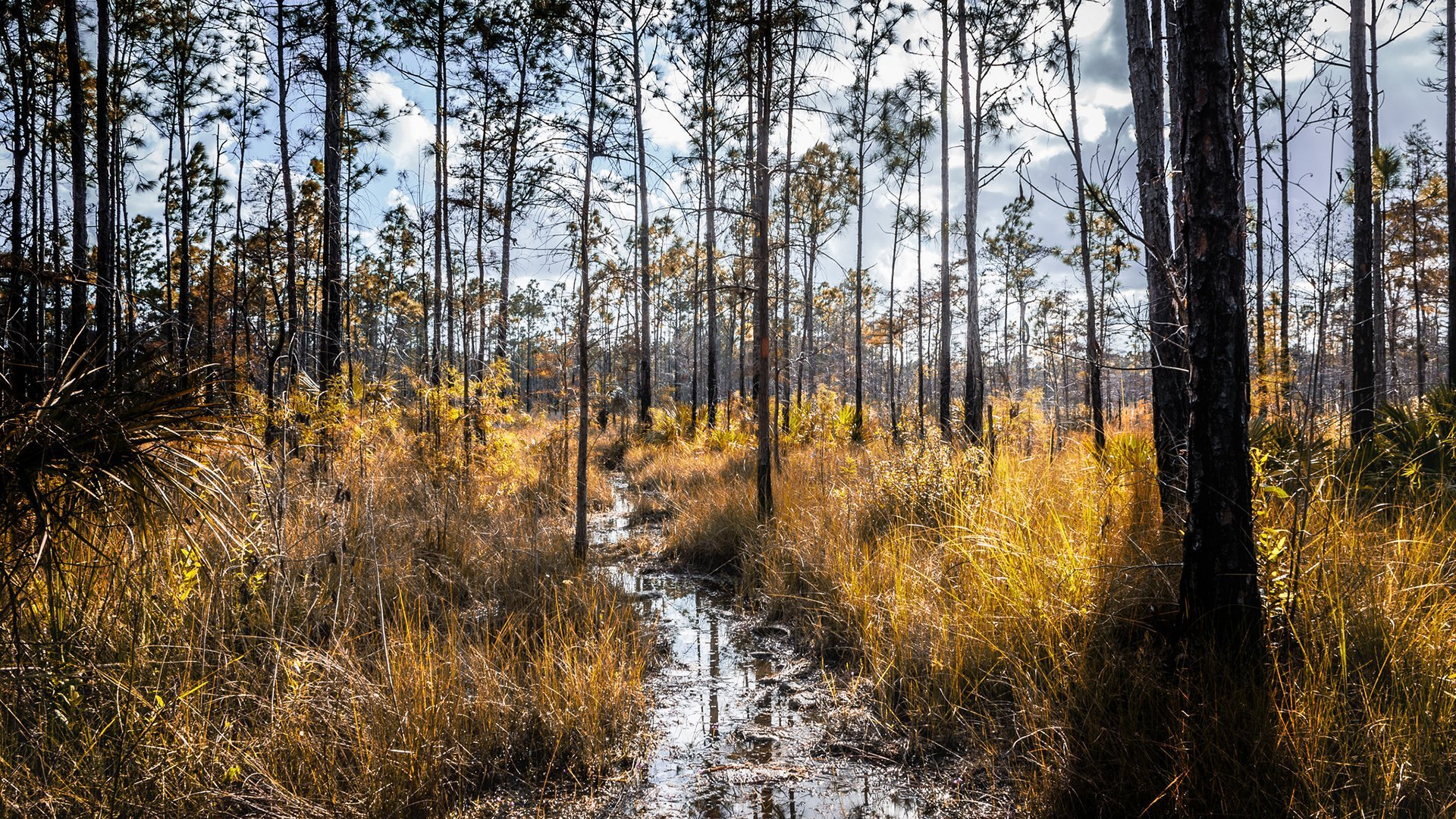 528773 Wallpapers HD / Desktop and Mobile Backgrounds