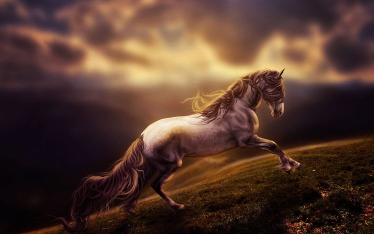 sunlight, Sunset, Mountain, Horse, Sky, Amazing HD Wallpaper Desktop Background