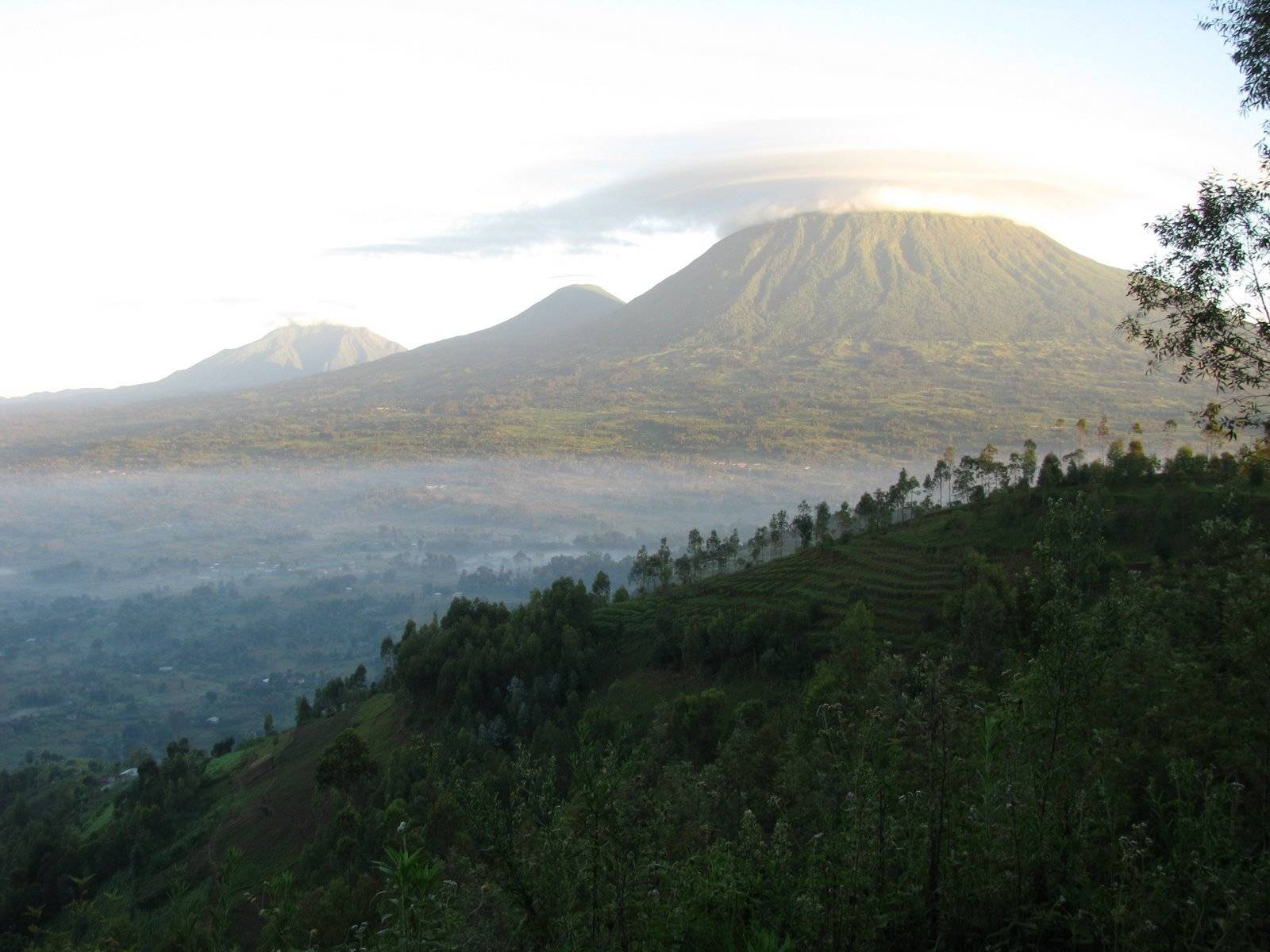 528890 Wallpapers HD / Desktop and Mobile Backgrounds