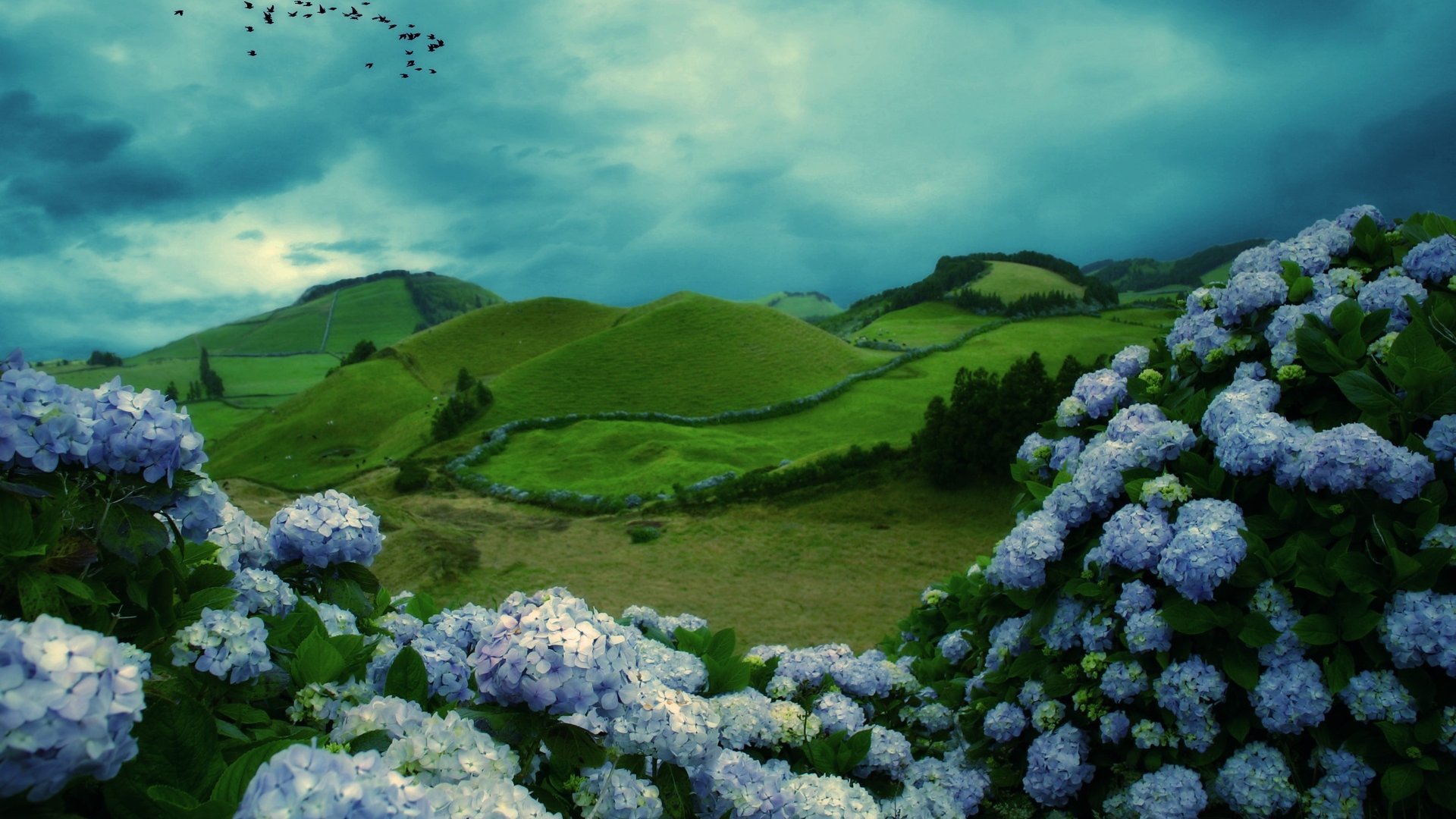 529304 Wallpaper