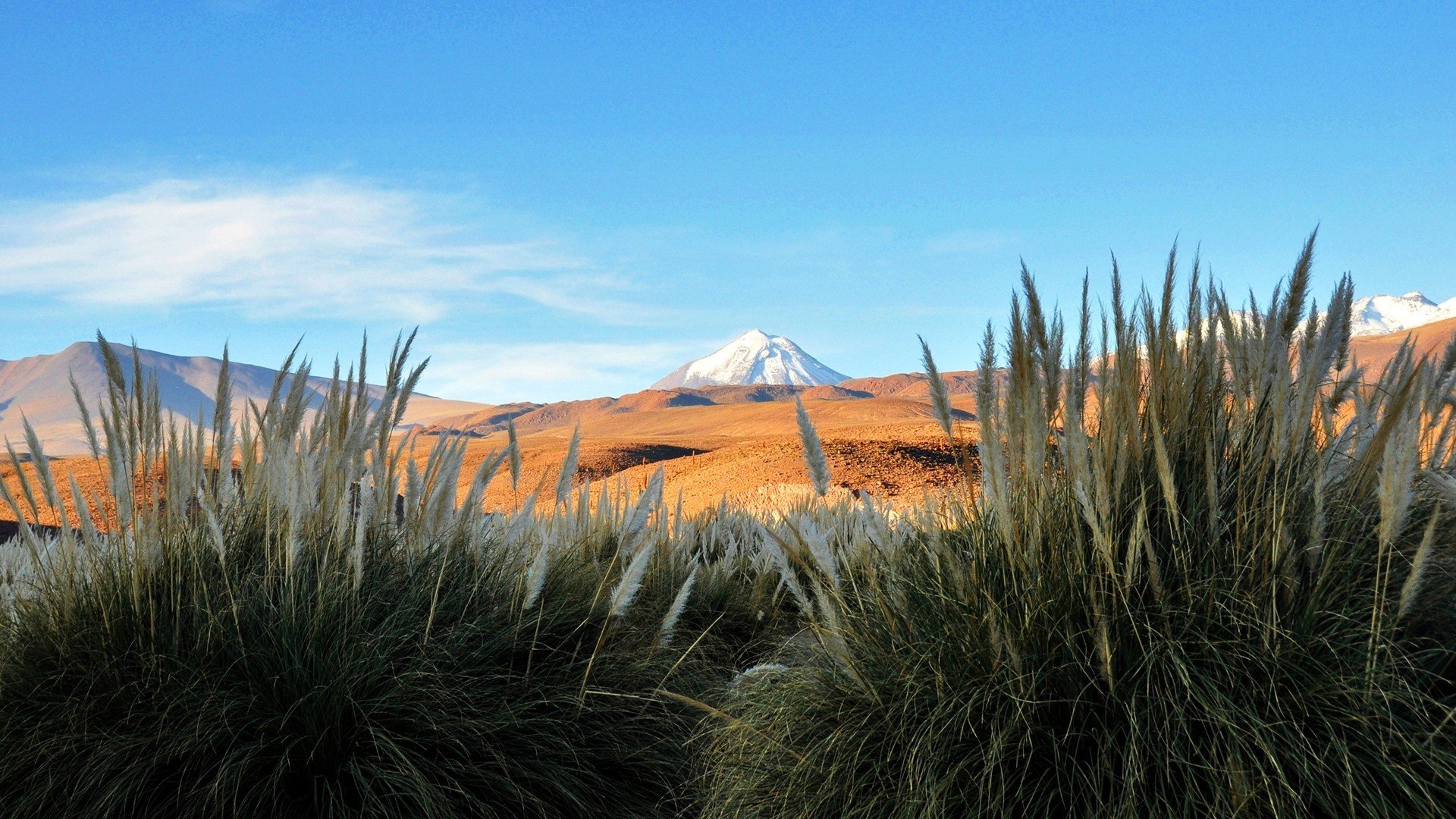 529362 Wallpapers HD / Desktop and Mobile Backgrounds