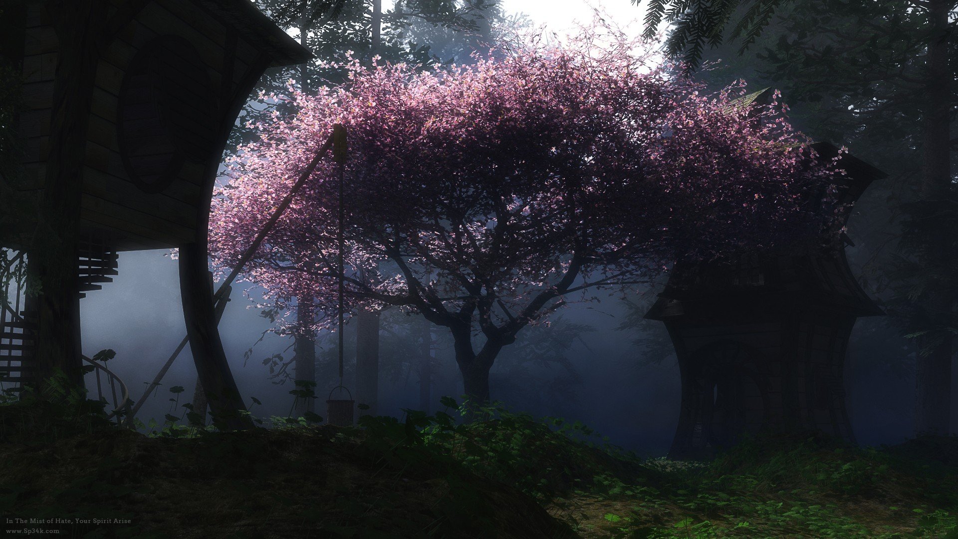 529399 Wallpapers HD / Desktop and Mobile Backgrounds