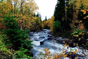 autumn, River, Rocks, Trees, Nature