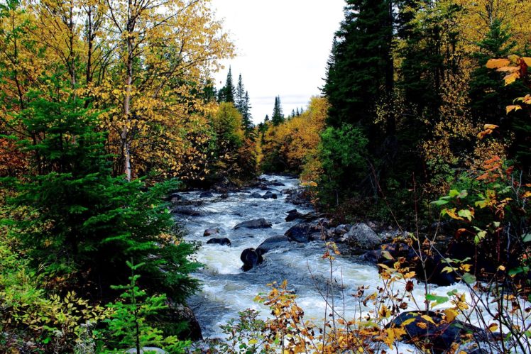 autumn, River, Rocks, Trees, Nature HD Wallpaper Desktop Background