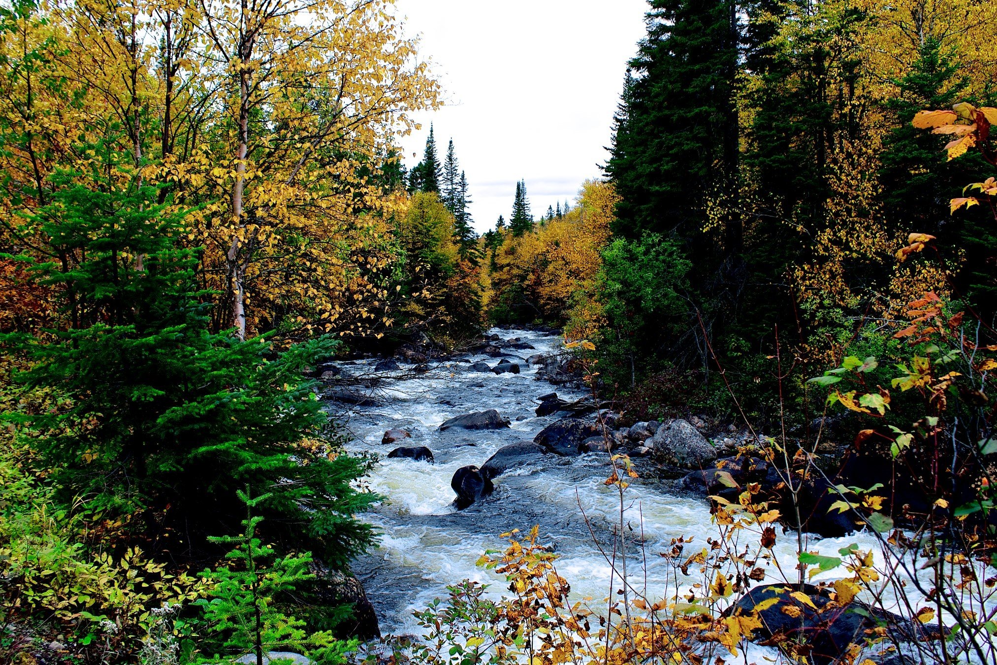 autumn, River, Rocks, Trees, Nature Wallpaper
